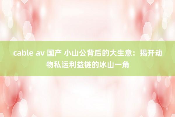 cable av 国产 小山公背后的大生意：揭开动物私运利益链的冰山一角