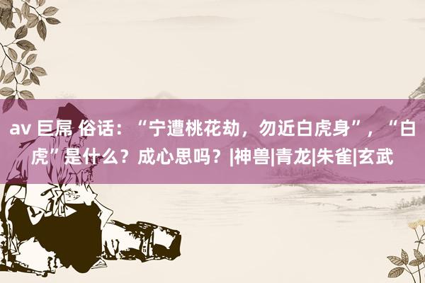 av 巨屌 俗话：“宁遭桃花劫，勿近白虎身”，“白虎”是什么？成心思吗？|神兽|青龙|朱雀|玄武