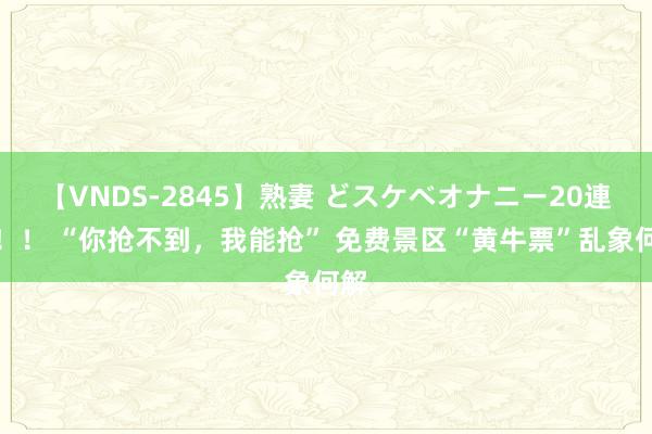 【VNDS-2845】熟妻 どスケベオナニー20連発！！ “你抢不到，我能抢” 免费景区“黄牛票”乱象何解