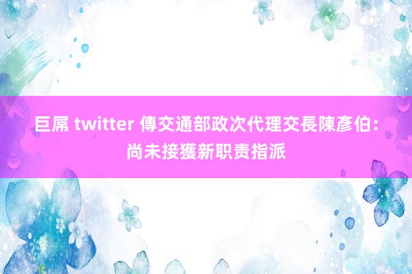 巨屌 twitter 傳交通部政次代理交長　陳彥伯：尚未接獲新职责指派