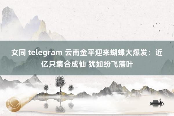 女同 telegram 云南金平迎来蝴蝶大爆发：近亿只集合成仙 犹如纷飞落叶