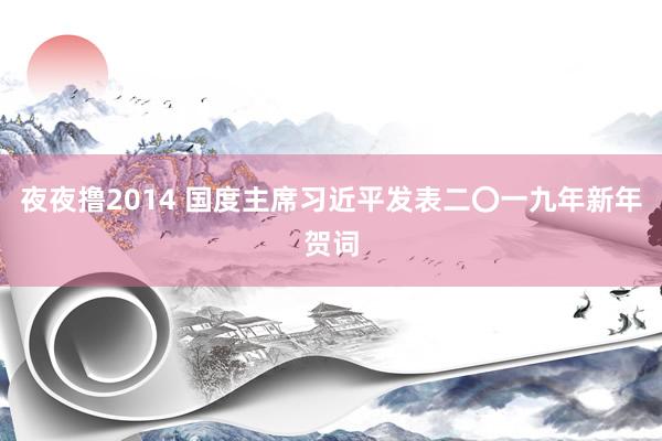 夜夜撸2014 国度主席习近平发表二〇一九年新年贺词