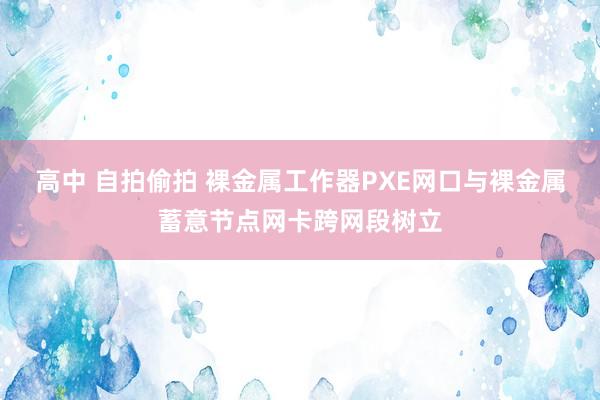 高中 自拍偷拍 裸金属工作器PXE网口与裸金属蓄意节点网卡跨网段树立