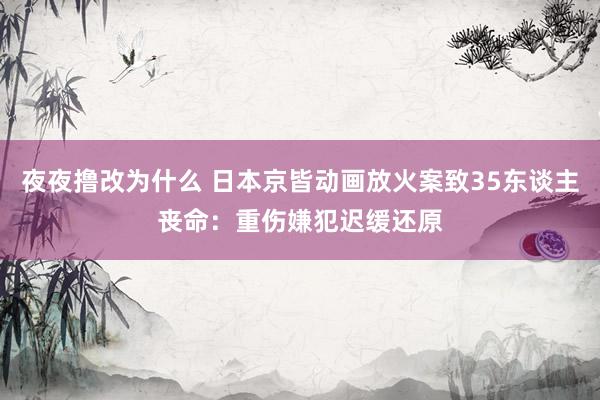 夜夜撸改为什么 日本京皆动画放火案致35东谈主丧命：重伤嫌犯迟缓还原