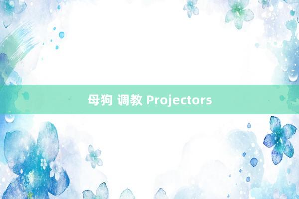 母狗 调教 Projectors