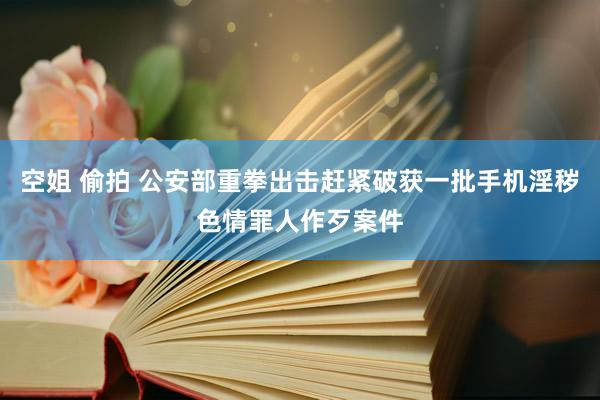 空姐 偷拍 公安部重拳出击赶紧破获一批手机淫秽色情罪人作歹案件