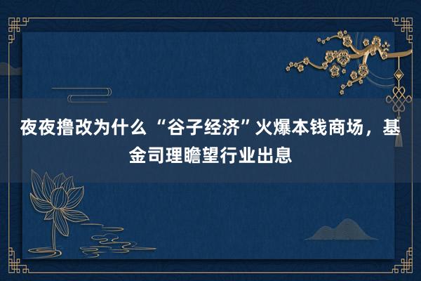 夜夜撸改为什么 “谷子经济”火爆本钱商场，基金司理瞻望行业出息