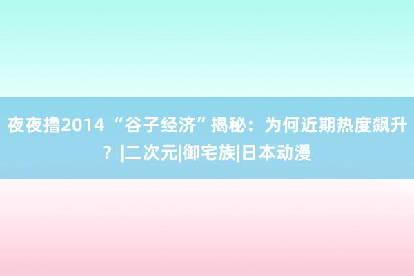 夜夜撸2014 “谷子经济”揭秘：为何近期热度飙升？|二次元|御宅族|日本动漫